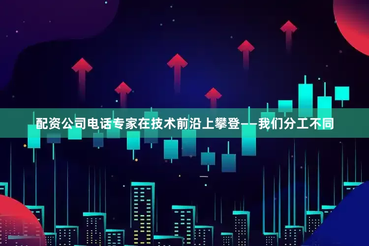 配资公司电话专家在技术前沿上攀登——我们分工不同